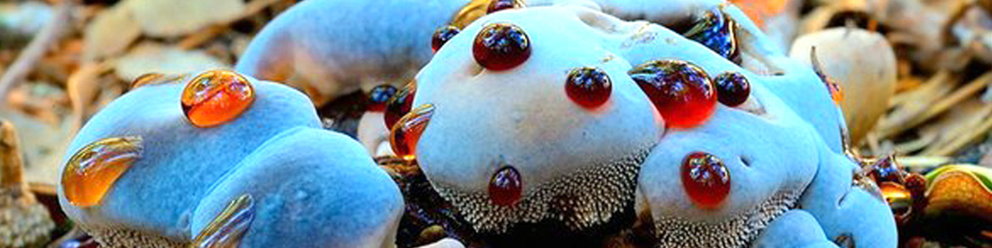 Ijctpms.com